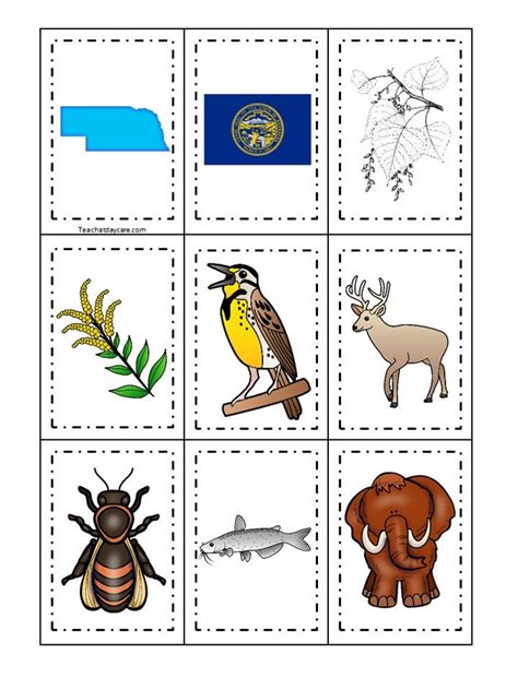 30 Nebraska State Symbols Themed Learning Games Download. ZIP - Etsy