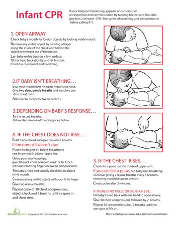 Infant CPR Steps | Worksheet | Education.com | Infant cpr, Baby care, Infant