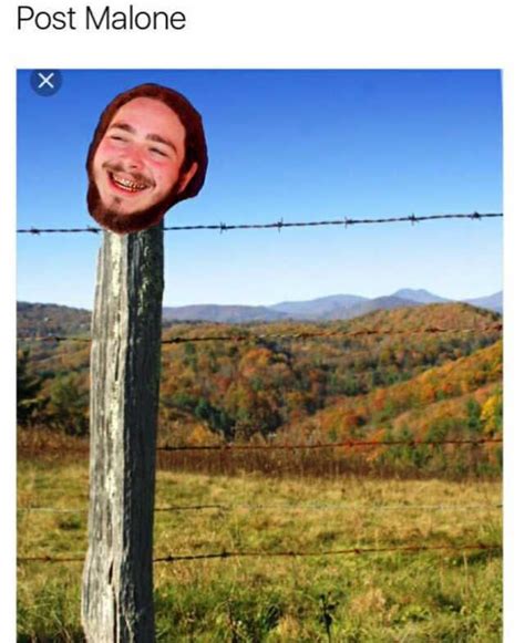 Funniest Post Malone Memes to Grace the Internet | Beat