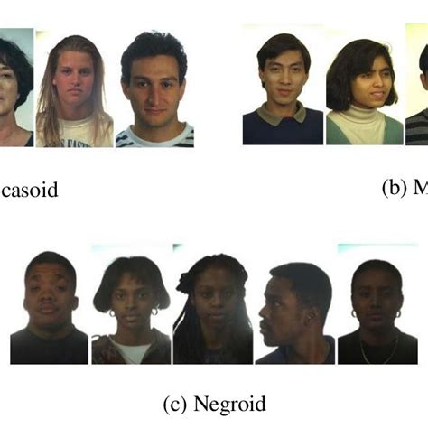 Face image of different human race (SFA (Skin Face Analysis) dataset ...