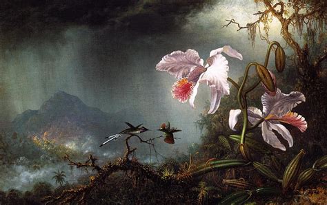 Two Fighting Hummingbirds with Two Orchids — Martin Johnson Heade – Biblioklept