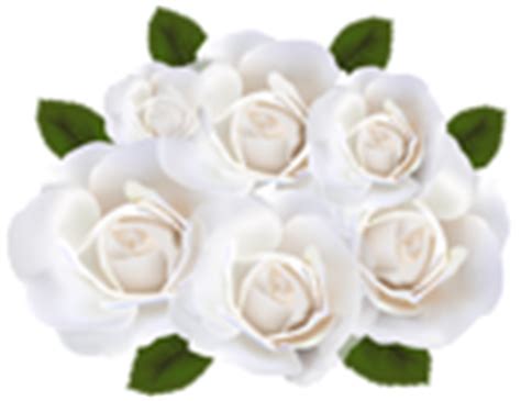 White Roses PNG Clip Art Transparent Image | Gallery Yopriceville ...