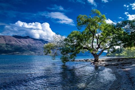 Shores of Lake Wakatipu Queenstown New Zealand - Photorator