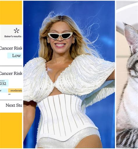 10 Pet Trends to Look Out for in 2024 – PureWow