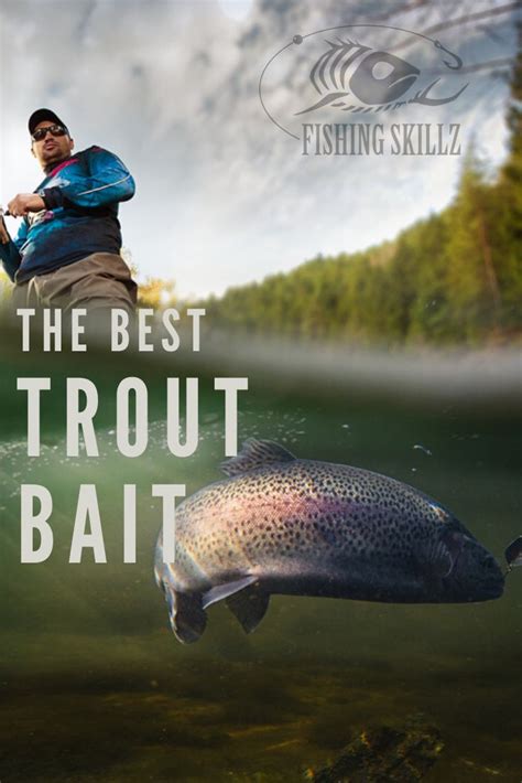 The Best Bait For Trout Fishing | Trout fishing, Trout fishing tips ...