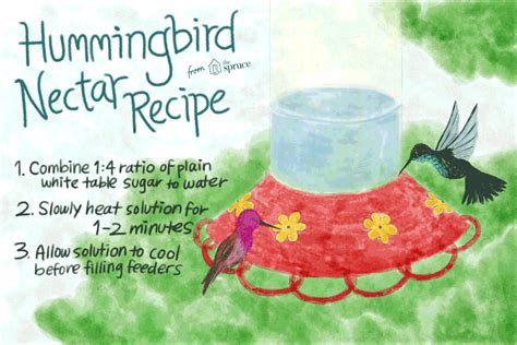 Classic Hummingbird Nectar Recipe