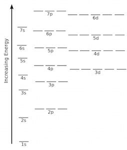 Blank Orbital Diagram Worksheet