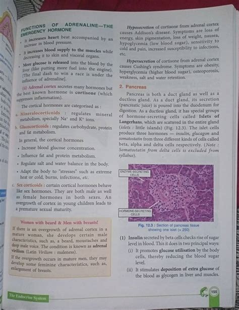 FUNCTIONS OF ADRENALINE-THE Hyposecretion of cortisone from adrenal corte..