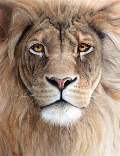 Realistic lion portrait | Watercolor lion, Lion painting, Lion artwork