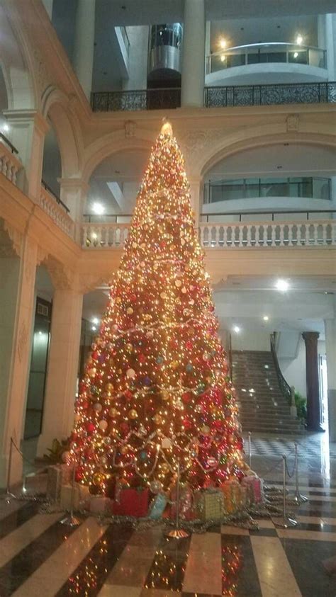 Christmas tree at Lonja del Comercio. #Havana #Cuba | Holiday decor, Holiday, Christmas tree