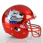 Healy Awards - Custom Football Helmet Decals