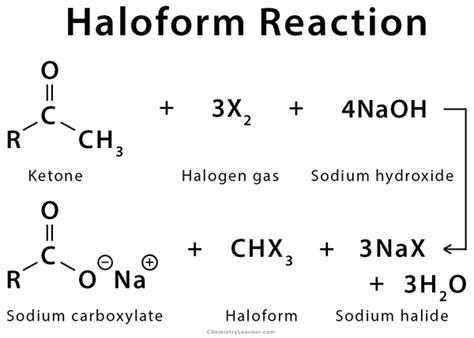 Haloform Reaction: Definition, Examples, and Mechanism