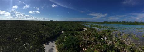 Castaway Cay Activities: Things to Do on Castaway Cay