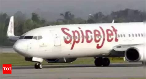 Spicejet: SpiceJet launches BagProtekt for flyers hassled by delayed or missing baggage - Times ...