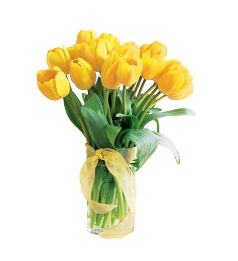 Spring Tulips- Deluxe Yellow | Flower delivery, Spring tulips, Tulips