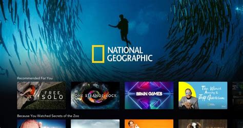 The Best National Geographic Documentaries On Disney+ - Bullfrag