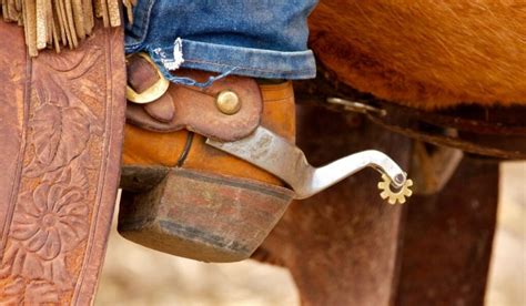 Types of Spurs and Their Uses - Helpful Horse Hints