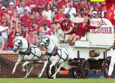 WATCH: Oklahoma's Sooner Schooner Flips Over And Horses Run Wild On The ...