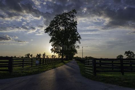 Country lane at sunset stock photo. Image of country - 150084460