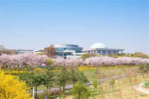 Cherry Blossom Spots In Seoul: Where To See Spring Flowers