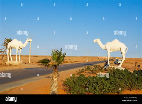 Tan tan morocco road hi-res stock photography and images - Alamy