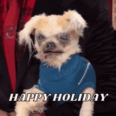 Best Funny Holiday GIF Images Download 2023
