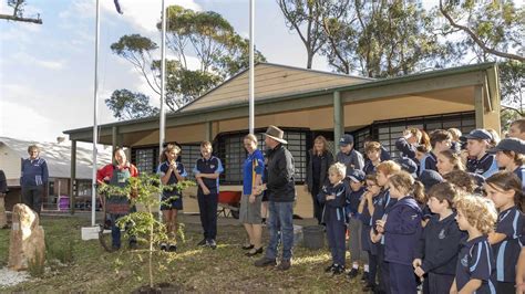 Tree Planting at Anna Bay Public School - ESRAG - Environmental ...