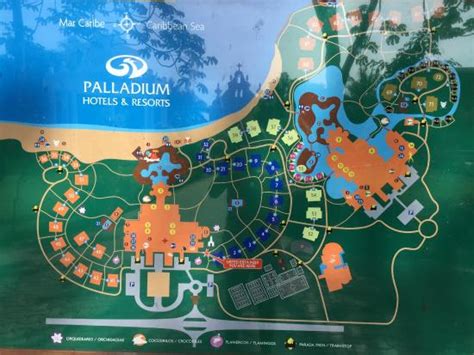 Novio compartir Endulzar mapa hotel grand palladium riviera maya Generoso Pacer Samuel