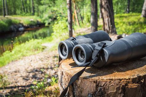 Top 10 Best Rangefinder Binoculars for Hunting in 2024