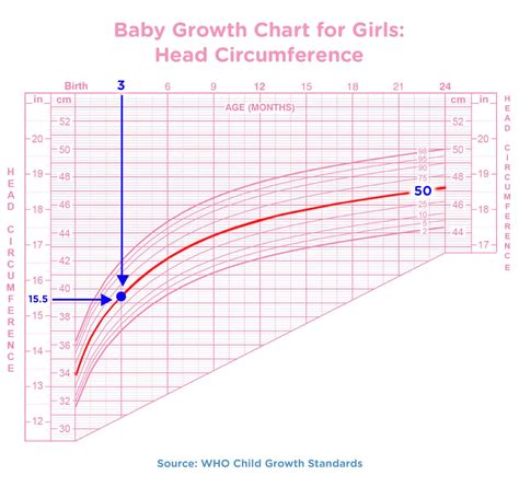 Baby Growth Charts: Birth to 24 Months | Pampers CA