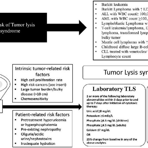 (PDF) Diagnosis and management of tumor lysis syndrome