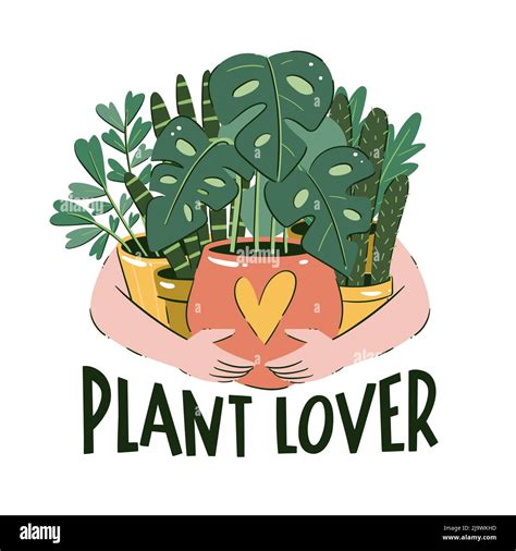 Plant lover concept. Someone is holding a bunch of house plants in ...