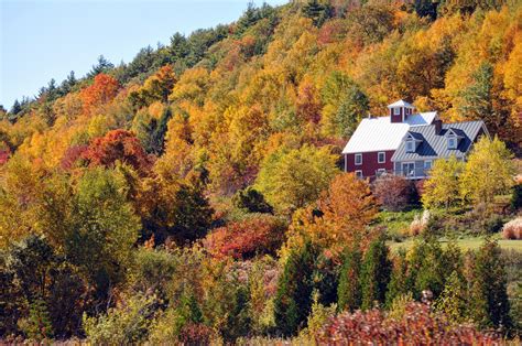 Home Nestled In Fall Foliage Free Stock Photo - Public Domain Pictures