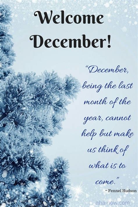 Welcome December | Hello december quotes, December quotes, Months in a year