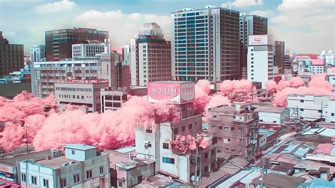 Online crop | HD wallpaper: anime, cityscape | Wallpaper Flare