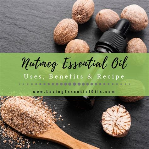 Nutmeg Essential Oil Uses, Benefits and Recipes - EO Spotlight