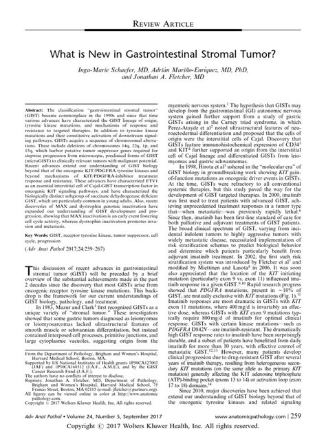 What Is New in Gastrointestinal Stromal Tumor | PDF | Carcinogenesis ...