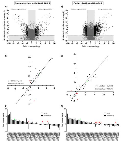 Gene expression analysis. Volcano plot showing A. fumigatus ...