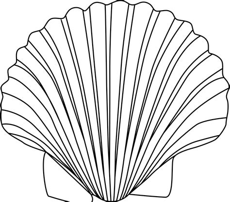 Sea Shell Clip Art; Seashell Outline Clip Art - Viewing Gallery ... | Conchas de mar dibujo ...