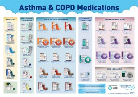 Asthma Advice That Everyone Needs To Know in 2020 | Pharmacology ...