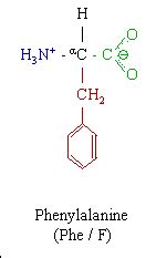 Phenylalanine Molecule