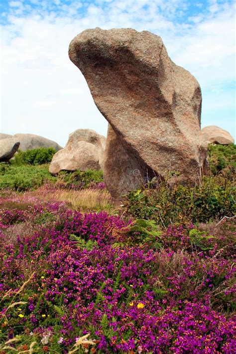 The Pink Granite Coast , at Ploumanach, Brittany, France Stock Image - Image of formation ...