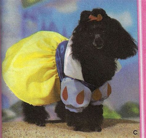 Snow White Dog Costume by TheHouseOfZuehl on Etsy, $55.00 | Dog costume ...