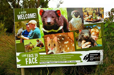 THE LONG LAP AROUND...: Tasmanian Wildlife Park...