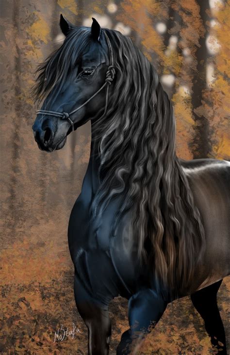 Black Beauty | Horses, Beautiful horses, Most beautiful horses