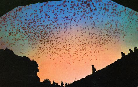 Carlsbad Caverns Elevator Plunges Visitors into Hidden Depths