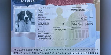 Shohei Ohtani's dog Decoy now has a fake U.S. visa