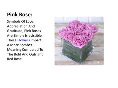 meaning of pink rose