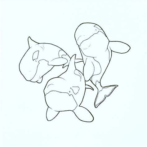 New orca / killer whale line drawing to use as a template for some new ...