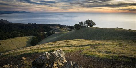 Mt. Tamalpais's Verna Dunshee Trail | Via